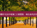 国内排名前三的牙科医院有哪些?北京中诺第二口腔医院、湖北省武汉市东西湖庭瑞口腔都名列在榜