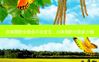 自体脂肪全脸会不会变丑，自体脂肪全脸多少钱