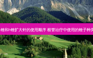 k锉和h锉扩大针的使用顺序 根管中使用的锉子种类