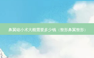 鼻翼缩小术大概需要多少钱（整形鼻翼整形）