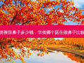 华美整形鼻子多少钱，华美哪个医生做鼻子比较好