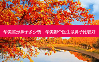华美整形鼻子多少钱，华美哪个医生做鼻子比较好