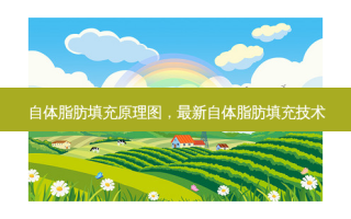 自体脂肪填充原理图， *** 新自体脂肪填充技术