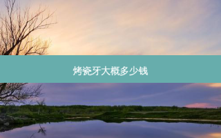 烤瓷牙大概多少钱