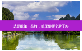 玻尿酸 *** ，玻尿酸哪个牌子好