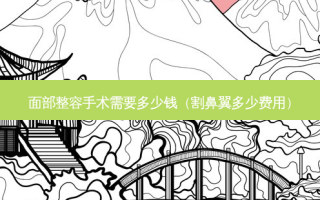 面部整容手术需要多少钱（割鼻翼多少费用）
