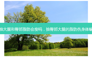 抽大腿和臀部脂肪会瘦吗，抽臀部大腿的脂肪伤身体嘛