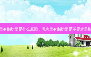  *** 里有脂肪团是什么原因， *** 里有脂肪团是不是就是脂肪瘤