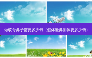 做软骨鼻子需要多少钱（假体隆鼻膨体要多少钱）