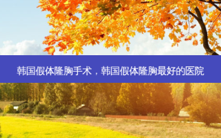 韩国假体隆胸手术，韩国假体隆胸 *** 好的医院
