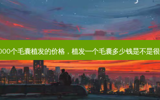 5000个毛囊植发的价格，植发一个毛囊多少钱是不是很贵