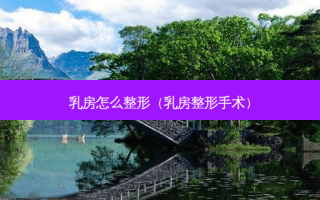  *** 怎么整形（ *** 整形手术）