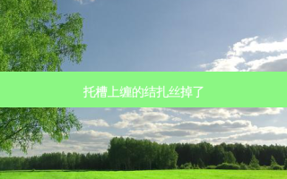 托槽上缠的结扎丝掉了