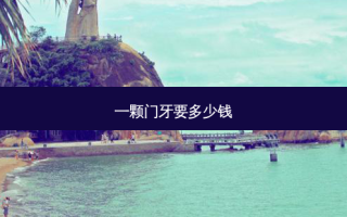 一颗门牙要多少钱