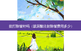 能打除皱针吗（玻尿酸注射除皱费用多少）