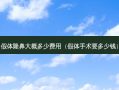 假体隆鼻大概多少费用（假体手术要多少钱）