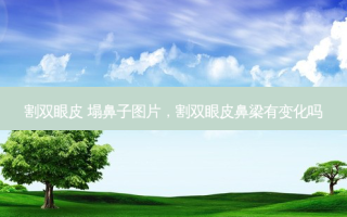 割双眼皮 塌鼻子图片，割双眼皮鼻梁有变化吗