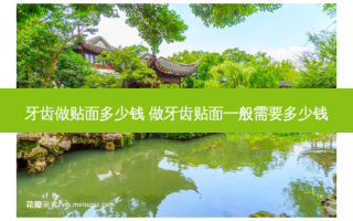 牙齿做贴面多少钱 做牙齿贴面一般需要多少钱