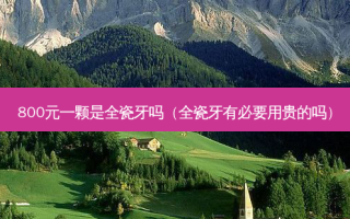 800元一颗是全瓷牙吗（全瓷牙有必要用贵的吗）