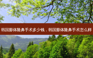 韩国膨体隆鼻手术多少钱，韩国膨体隆鼻手术怎么样