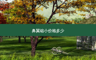 鼻翼缩小价格多少