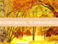 郑州莱美双眼皮做的好吗，周口缔莱美割双眼皮怎么样