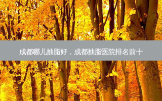 成都哪儿抽脂好，成都抽脂医院排名前十