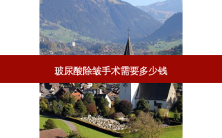 玻尿酸除皱手术需要多少钱