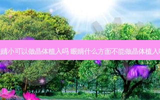 眼睛小可以做晶体植入吗 眼睛什么方面不能做晶体植入呢
