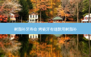 树脂补牙寿命 烤瓷牙有缝隙用树脂补