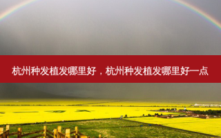 杭州种发植发哪里好，杭州种发植发哪里好一点
