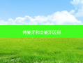 烤瓷牙和全瓷牙区别