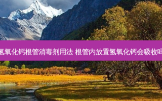 氢氧化钙根管消毒剂用法 根管内放置氢氧化钙会吸收吗