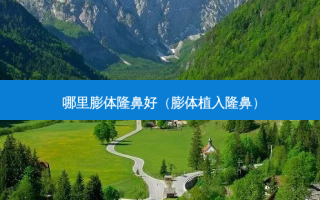 哪里膨体隆鼻好（膨体植入隆鼻）