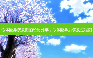 假体隆鼻恢复图的经历分享，假体隆鼻后恢复过程图