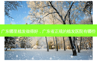 广东哪里植发做得好，广东省正规的植发医院有哪些