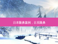 日本隆鼻案例，日系隆鼻