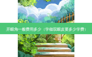 开眼角一般费用多少（学做双眼皮要多少学费）