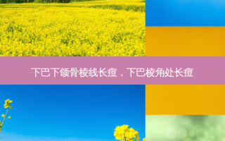 下巴下颌骨棱线长痘，下巴棱角处长痘