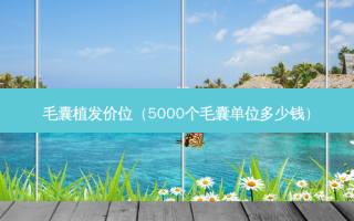 毛囊植发价位（5000个毛囊单位多少钱）