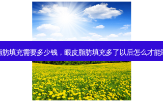 眼皮脂肪填充需要多少钱，眼皮脂肪填充多了以后怎么才能取出来