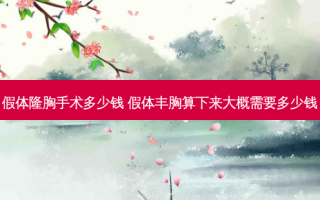 假体隆胸手术多少钱 假体丰胸算下来大概需要多少钱