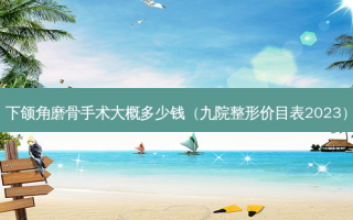 下颌角磨骨手术大概多少钱（九院整形价目表2023）