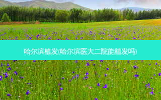 哈尔滨植发(哈尔滨医大二院能植发吗)