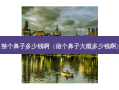 整个鼻子多少钱啊（做个鼻子大概多少钱啊）