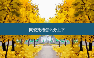 陶瓷托槽怎么分上下