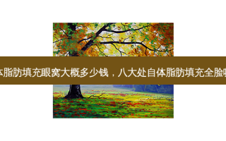 八大处自体脂肪填充眼窝大概多少钱，八大处自体脂肪填充全脸哪个医生好