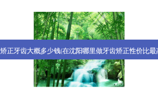 沈阳矫正牙齿大概多少钱(在沈阳哪里做牙齿矫正性价比高啊)