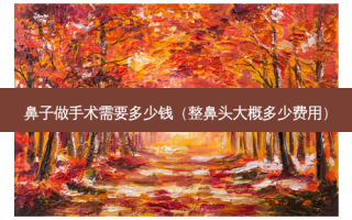鼻子做手术需要多少钱（整鼻头大概多少费用）