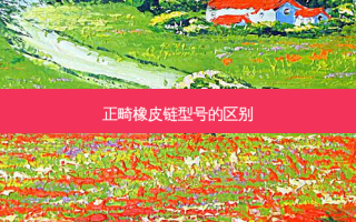 正畸橡皮链型号的区别